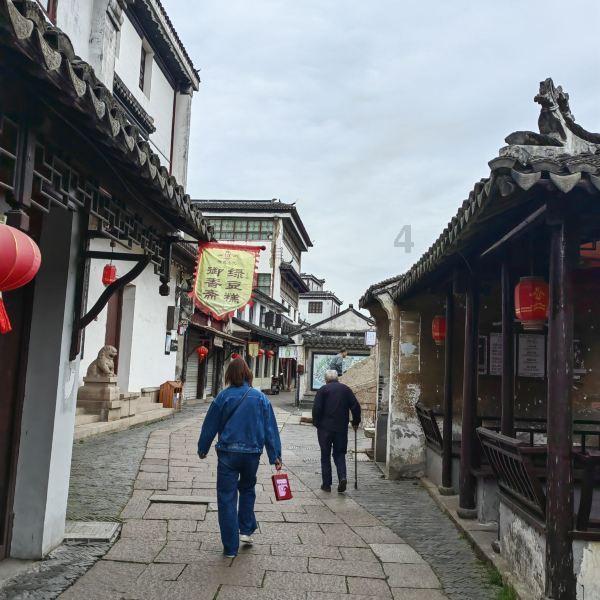 拯救小萌虎